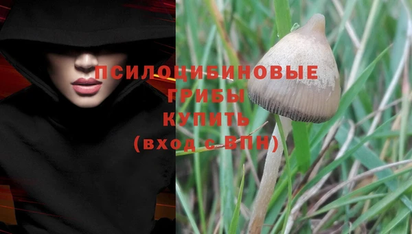 бутират Пестово