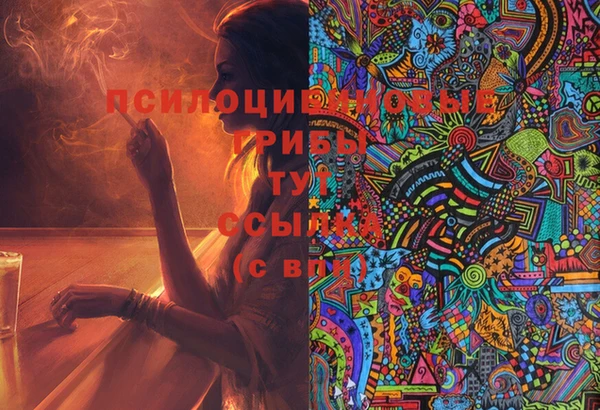 крисы Кемь