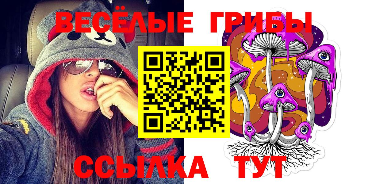 Сегежа  закладка  Вход с VPN  Галлюциногенные грибы прущие грибы  Псилоцибиновые грибы MAGIC MUSHROOMS 